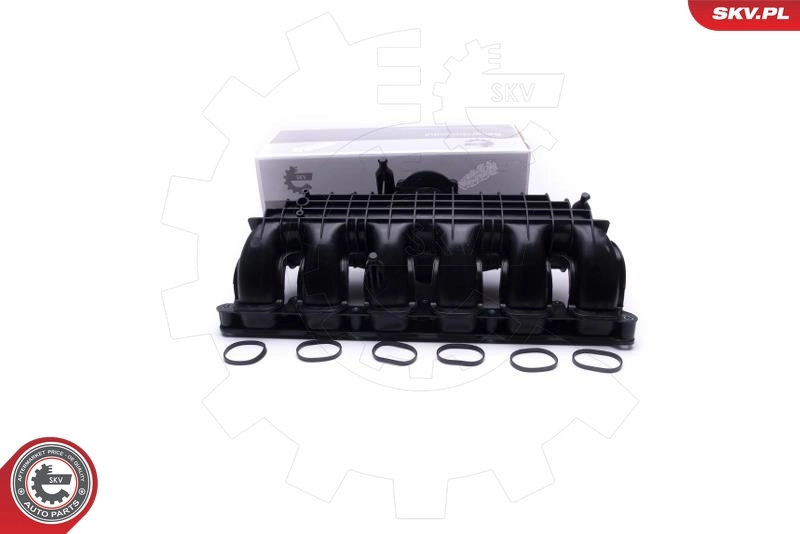 Intake Manifold Module